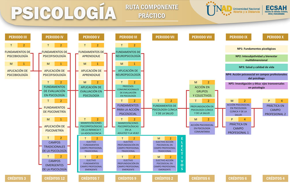 RUTA DEL COMPONENTE PRACTICO