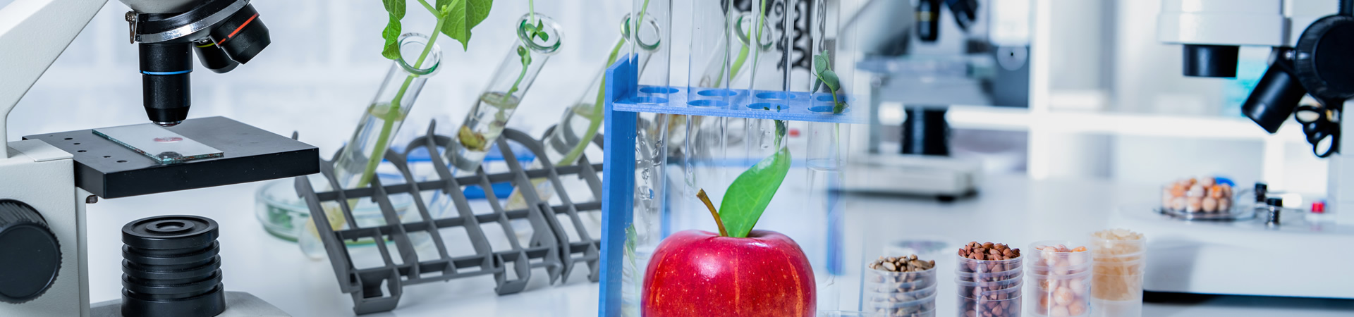 Práctica Profesional Ingeniería de Alimentos