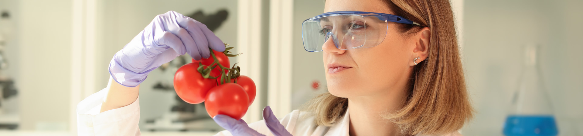 Práctica Profesional Maestría en Biotecnología Alimentaria