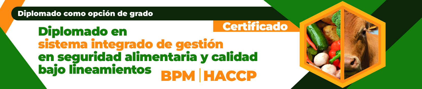 sistema integrado de gestión