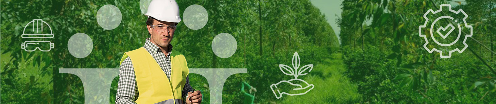 Ingeniería Agroforestal