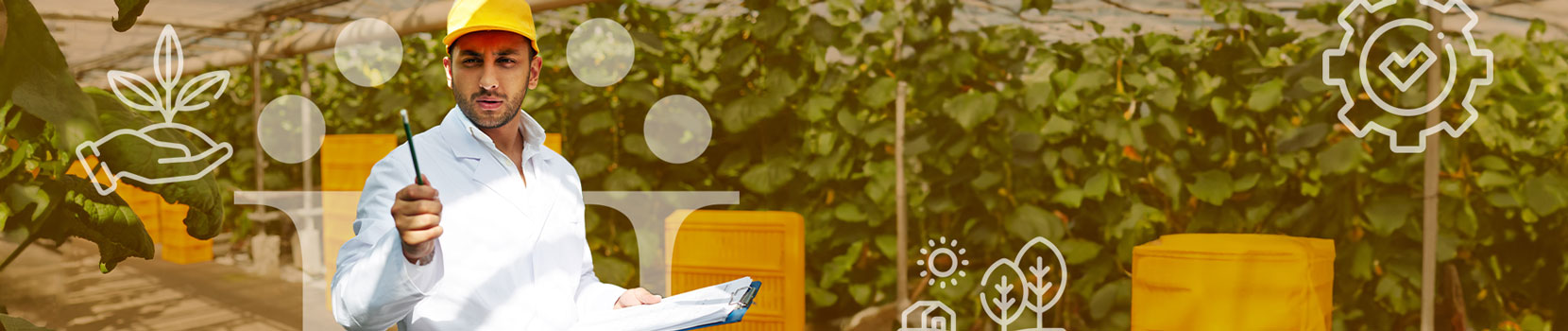 Tecnología en Gestión de Agronegocios