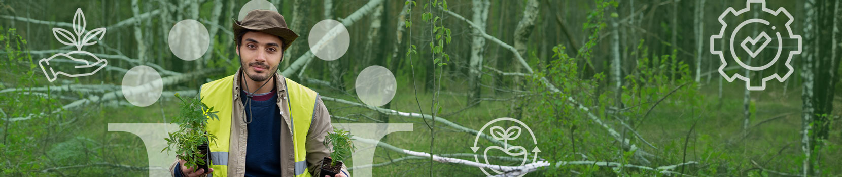 Tecnología en Manejo y Comercialización Agroforestal